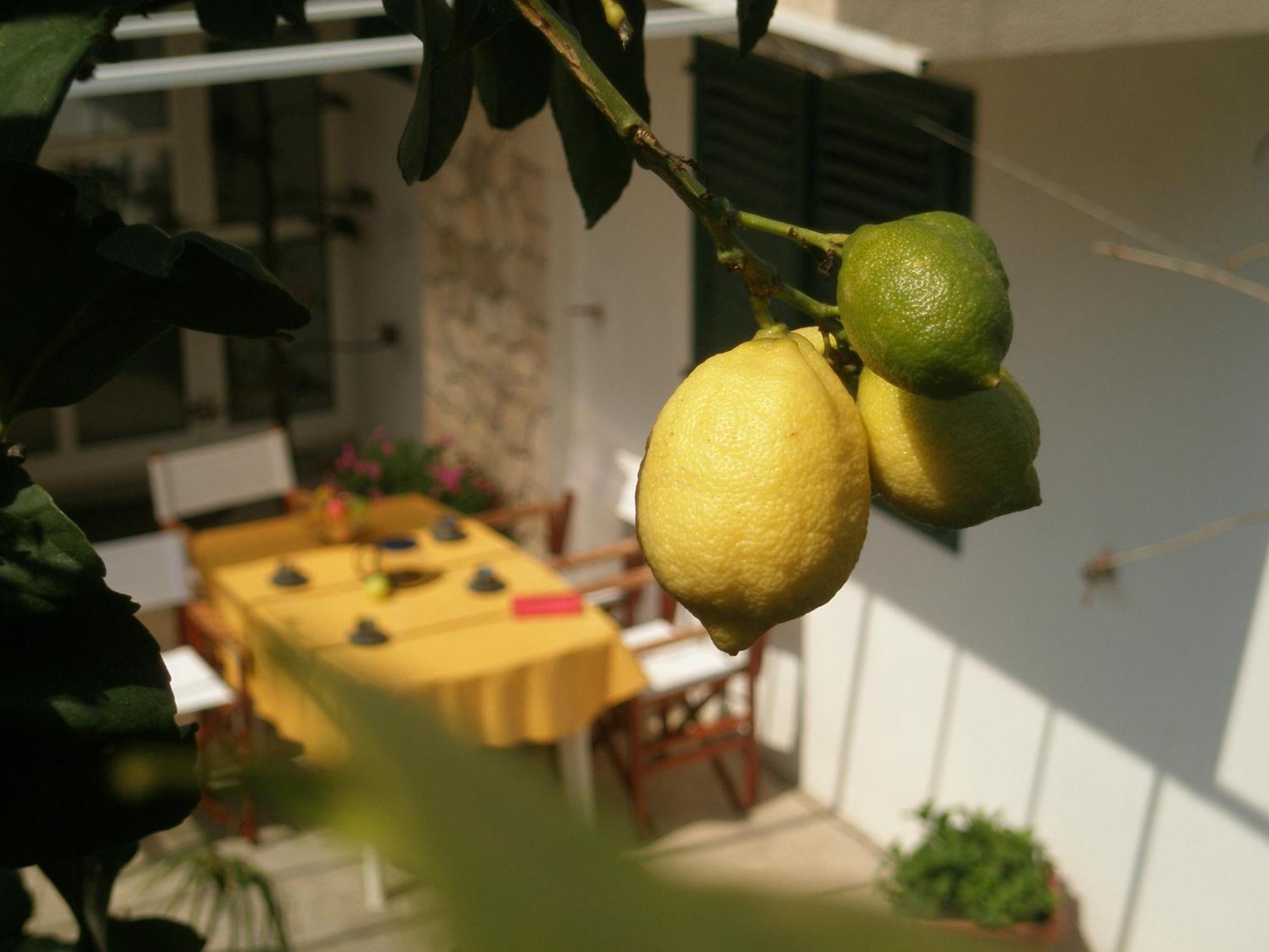 Apartments Green & Orange Hvar Town Exterior foto