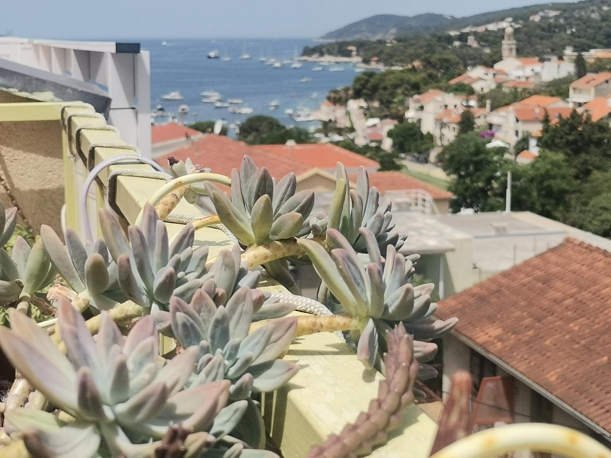 Apartments Green & Orange Hvar Town Exterior foto